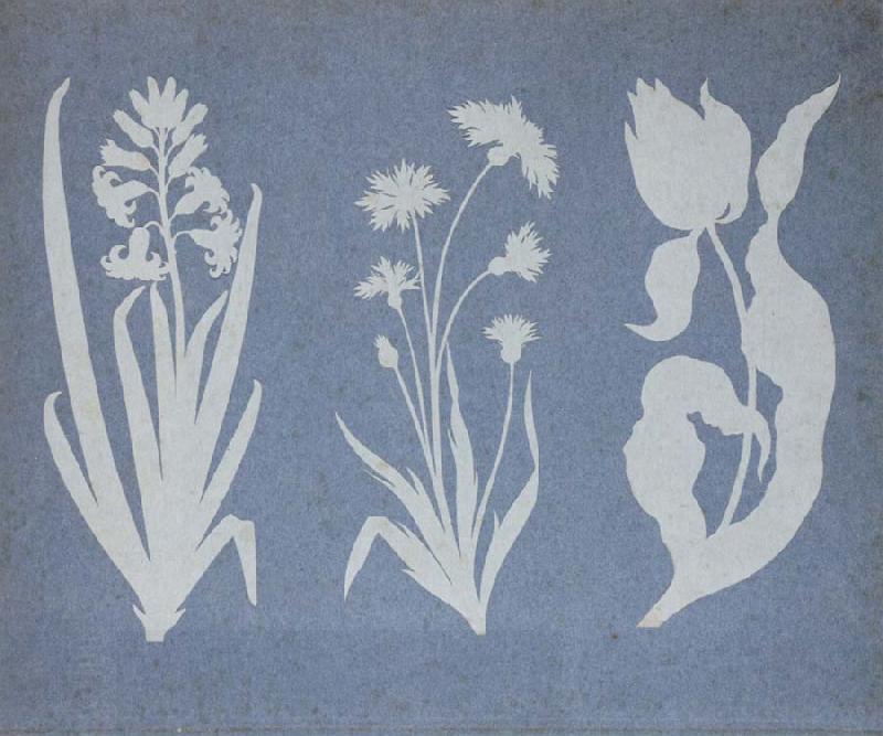 Philipp Otto Runge Hyacinth,Cornflower,Tulip oil painting picture
